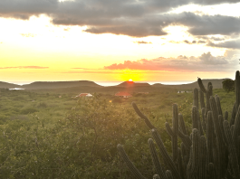 Curacao en de fascinerende natuur Fascinerende natuur Curacao