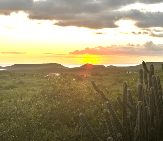Curacao en de fascinerende natuur Fascinerende natuur Curacao