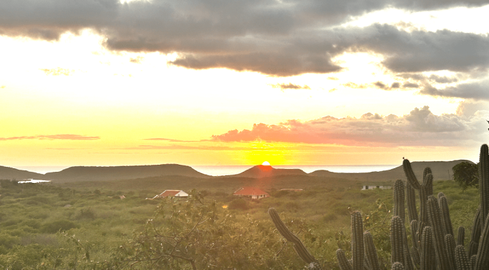 Curacao en de fascinerende natuur Fascinerende natuur Curacao